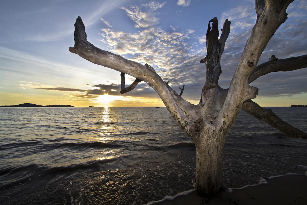 アジアマランゴ ビーチ リゾート Befotaka Bay エクステリア 写真